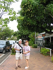 025 Port Douglas